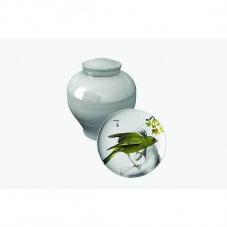 Ibride Vase Parnasse Yuan Grey Shop Online, best price