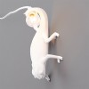 SELETTI CHAMELEON LAMP Shop Online, best price