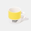 PANTONE ESPRESSO CUP COLOR OF THE YEAR 2021 Shop Online, best