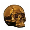 MY SKULL - LIMITED GOLD EDITION Shop Online, best price