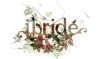 IBRIDE